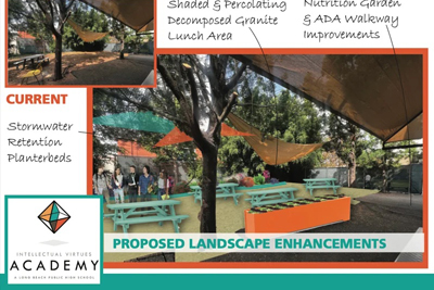 artist rendering of IVA backyard project