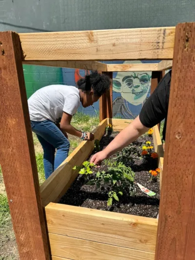IVA High student in white t-shirt works in a raised garden bed