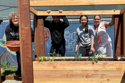Students and teacher work in raised garden bed in the summer.
