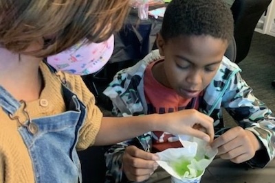 2 students examine a science experiment on the table between them