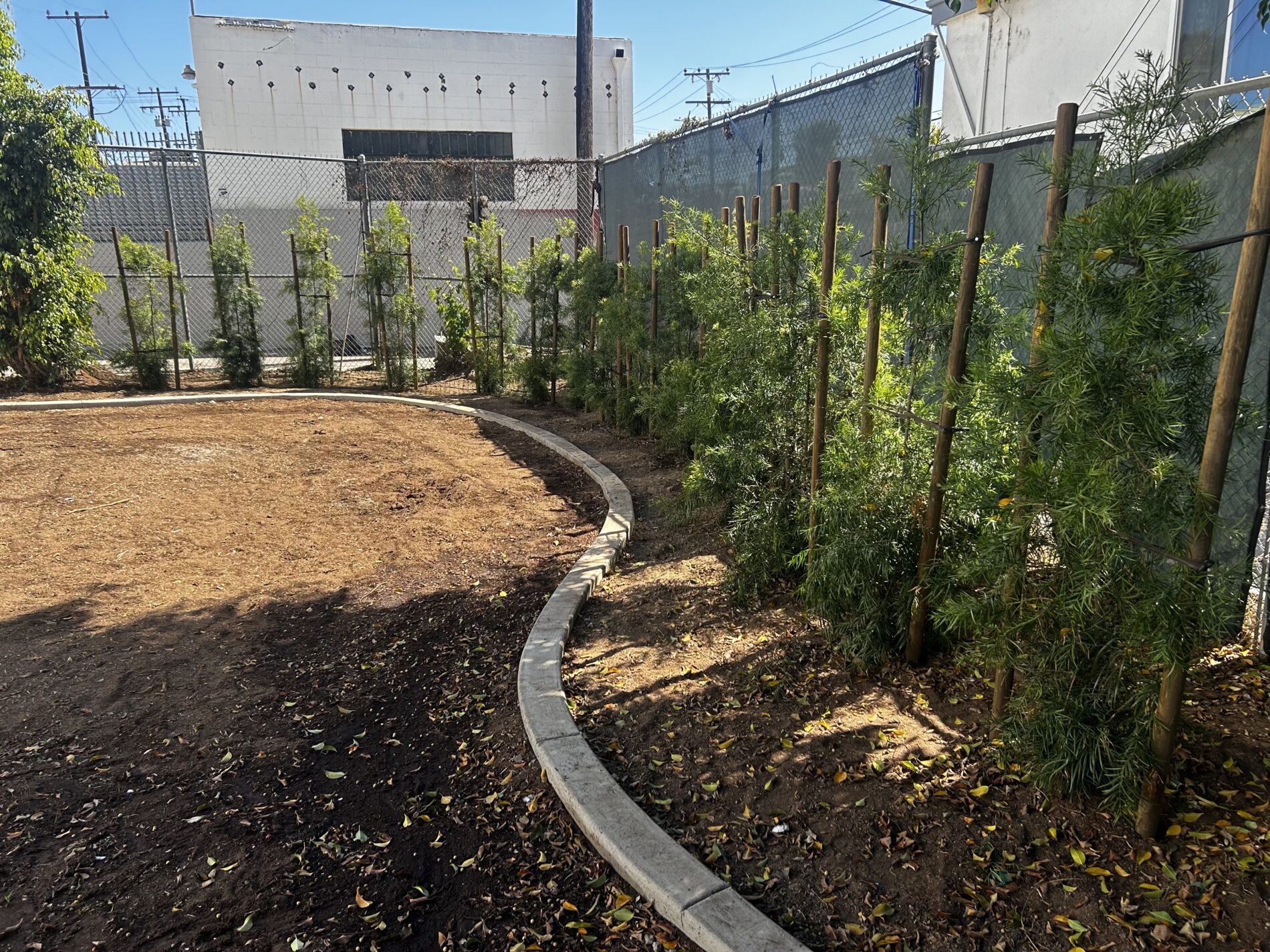 a newly updated backyard at IVA High with new plants and a border.