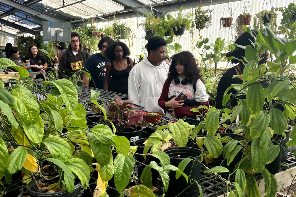 Students from IVA High walk through a greenhouse. They are surrounded by green plants.